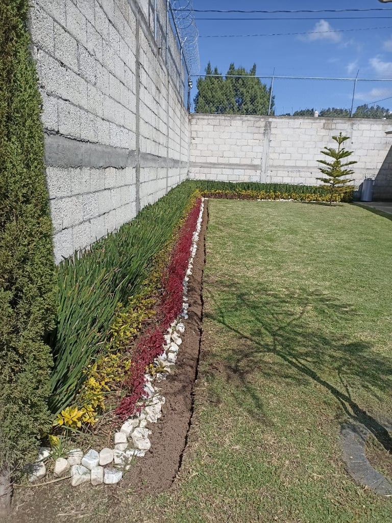 Jardín profesional Compañia Peter