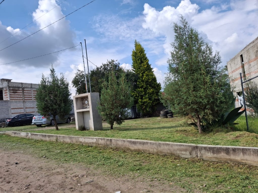 Trabajo de jardinería Compañia Peter 1