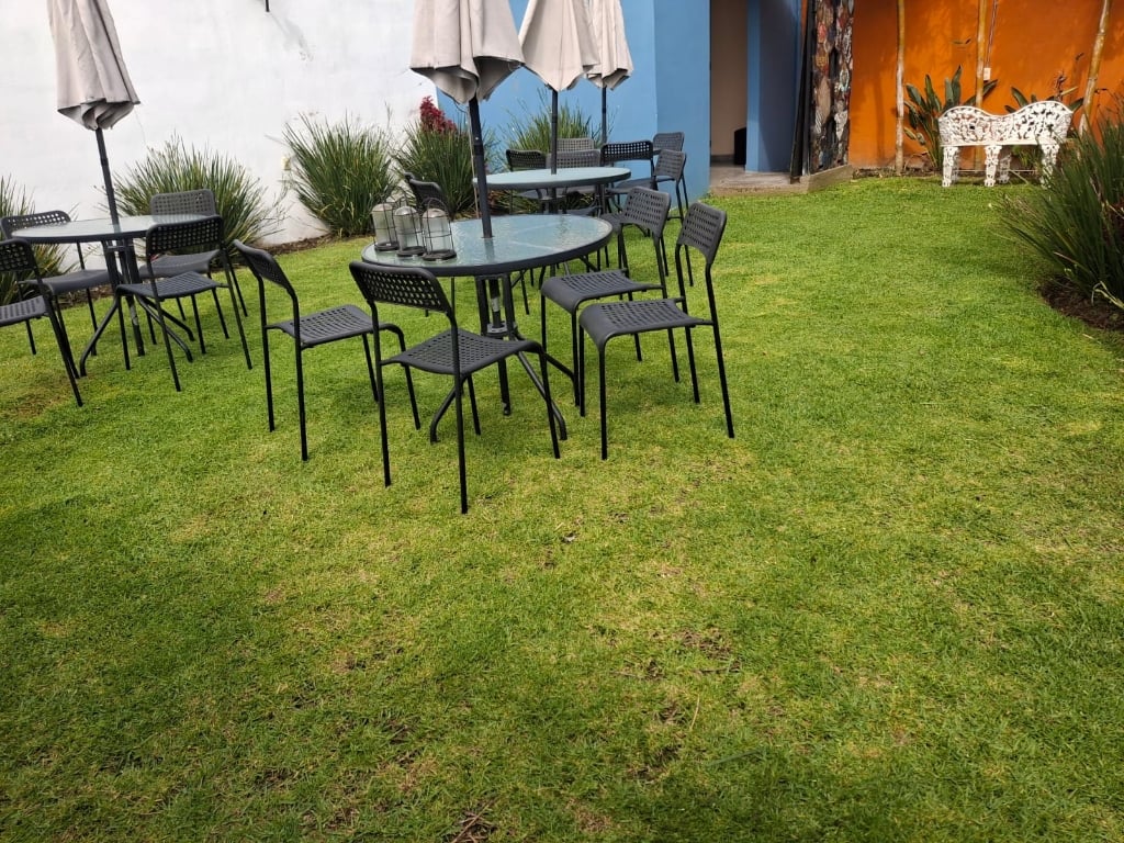 Trabajo de jardinería Compañia Peter 4