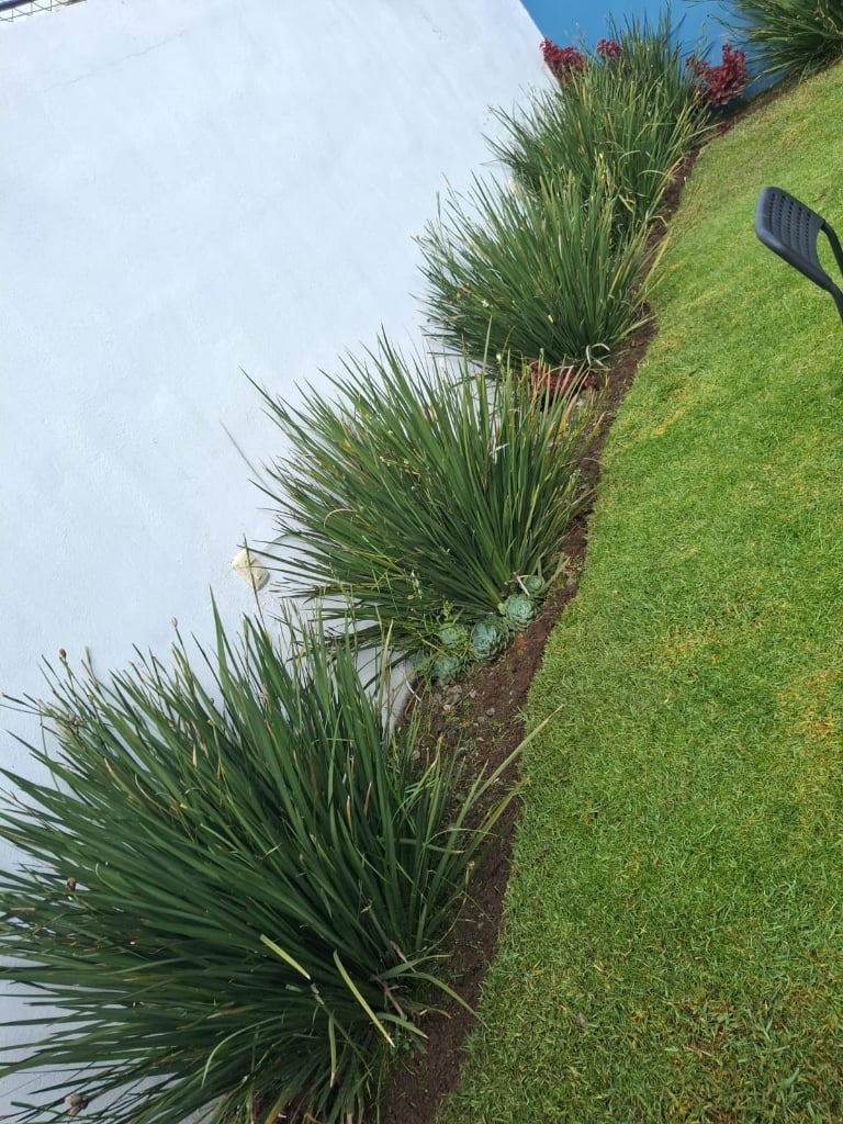 Trabajo de jardinería Compañia Peter 6