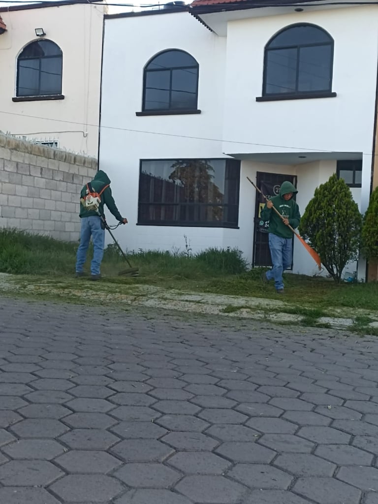 Trabajo de jardinería Compañia Peter 15