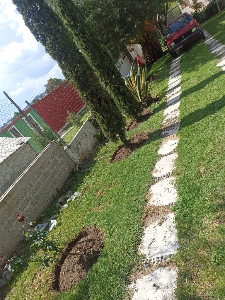 Trabajo de jardinería Compañia Peter 12
