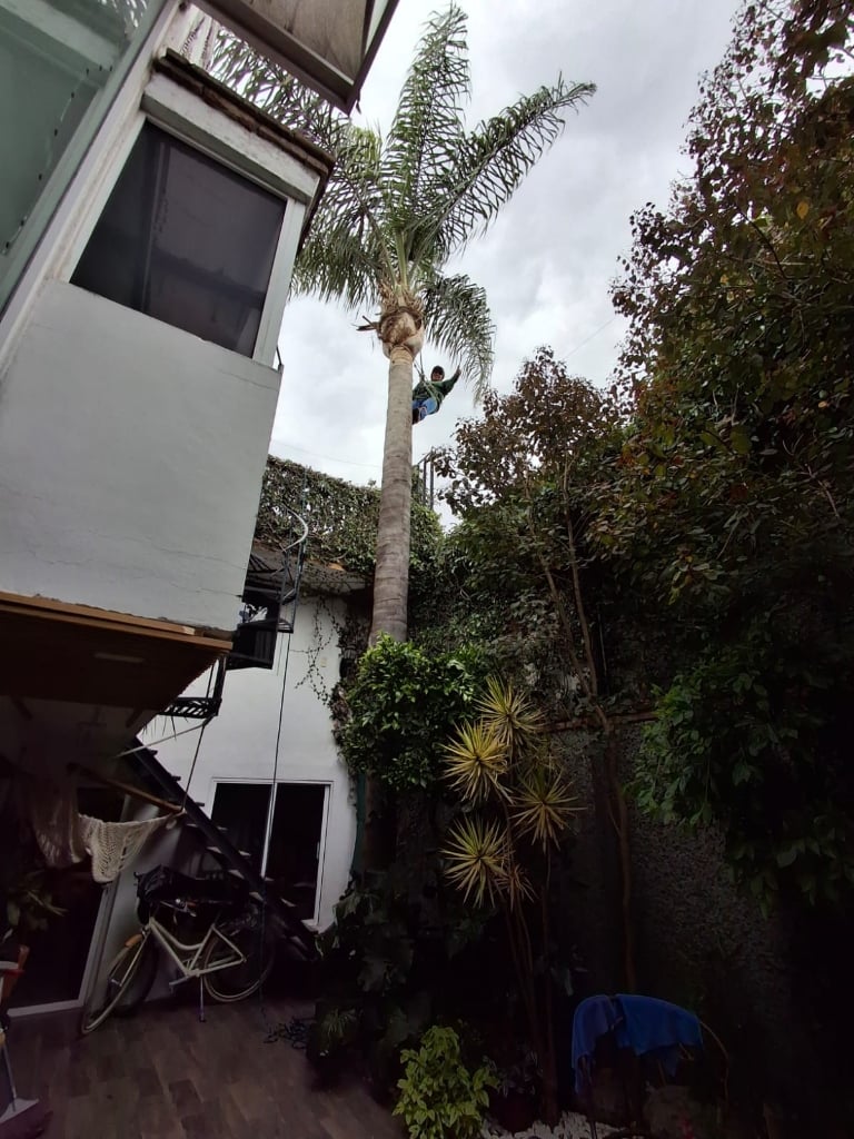 Trabajo de jardinería Compañia Peter 14